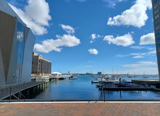 massachusetts/boston/seaport-district/attraction/new-england-aquarium