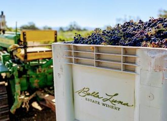 california/central-coast/attraction/bella-luna-estate-winery