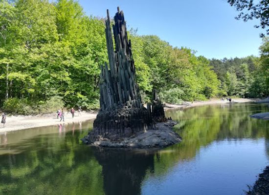 germany/lusatia/attraction/azalea-and-rhododendron-park-kromlau