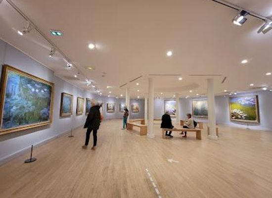 france/ile-de-france/attraction/musee-marmottan-monet