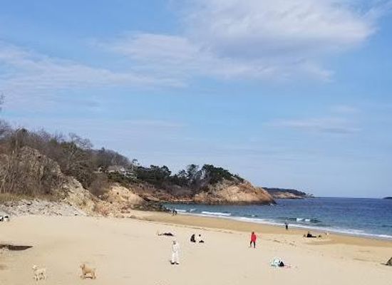 massachusetts/north-shore/attraction/singing-beach