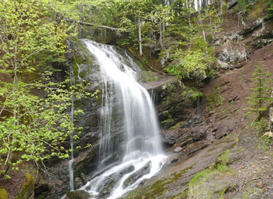 canada/annapolis-valley/attraction/fundy-trail-parkway-west-kiosk