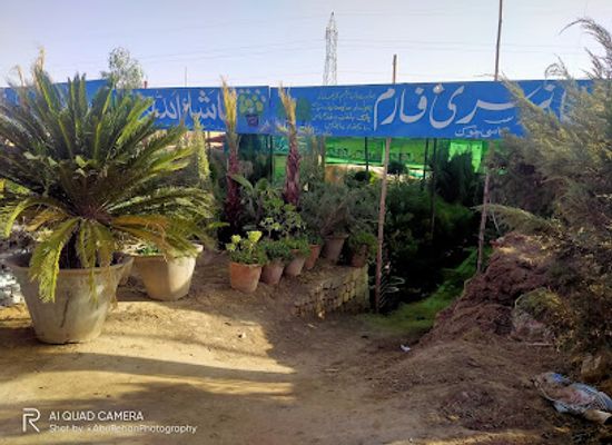 pakistan/quetta/attraction/aryana-nursery