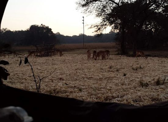 zimbabwe/mashonaland-east/attraction/makuwe-conservancy