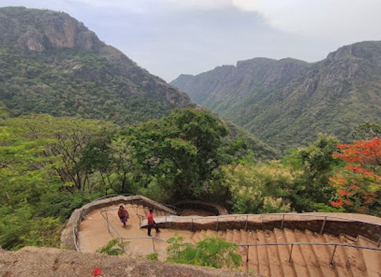 india/tamil-nadu/attraction/kolli-hill-forest