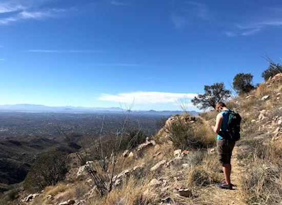 arizona/saguaro-national-park/attraction/agua-caliente-hill