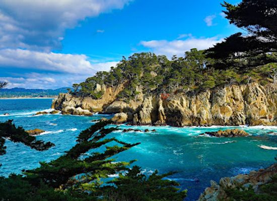 california/big-sur/attraction/cypress-grove