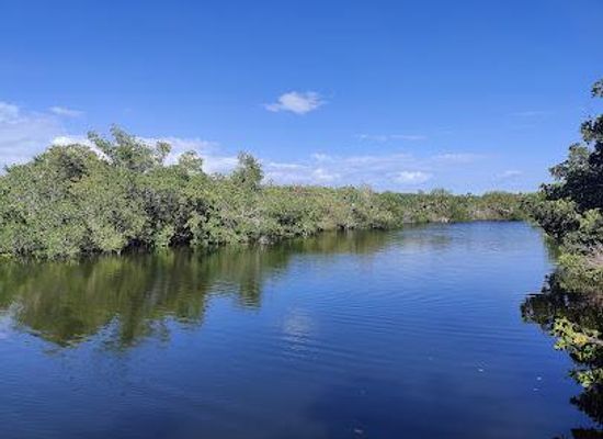 florida/cape-coral/attraction/lovers-key-state-park