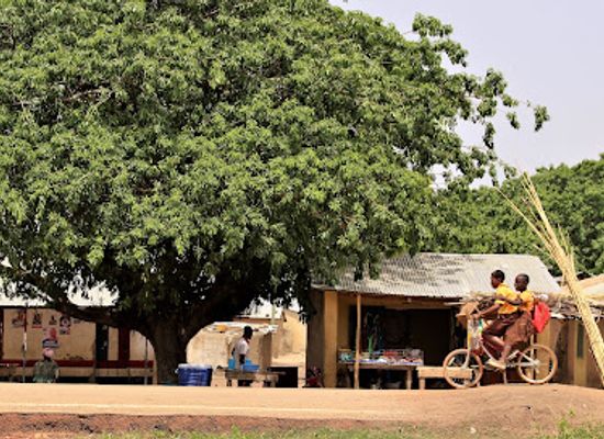 ghana/wa/attraction/wechiau-hippo-santuary