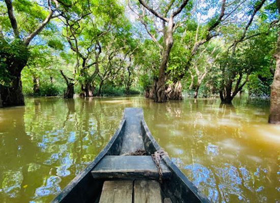 bangladesh/ratargul-swamp-forest/attraction/ratargul-swamp-forest-boat-station