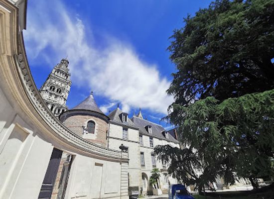 france/tours/attraction/le-cedre-du-liban