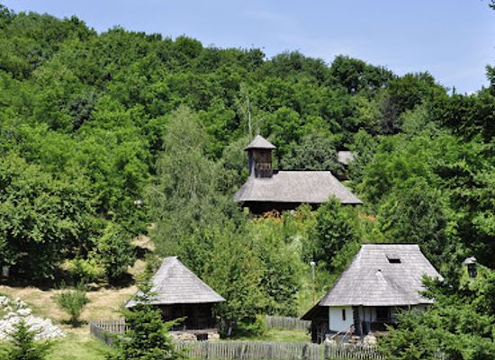 romania/valcea/attraction/muzeul-satului-valcean