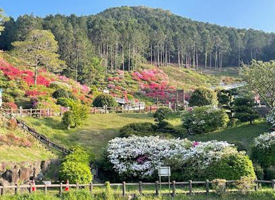 japan/nagasaki/attraction/saikai-national-park