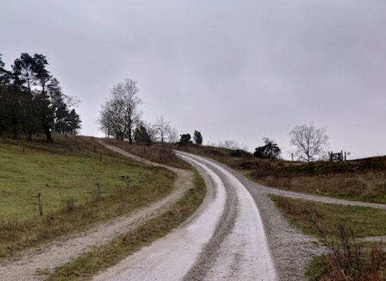 denmark/mols-bjerge-national-park/attraction/tinghule