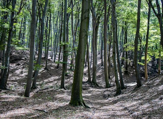 hungary/vertes-mountains/attraction/ko-volgy