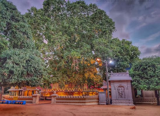 sri-lanka/colombo-district/attraction/bellanwila-rajamaha-viharaya