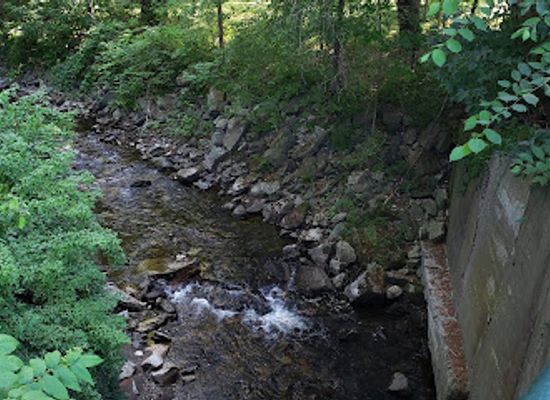 vermont/woodstock/attraction/woodstock-town-smiler