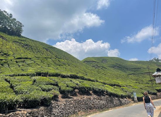 india/munnar/attraction/lectchmi-hills