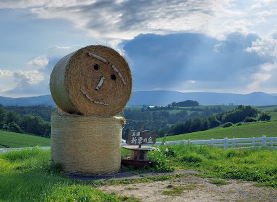 japan/hokkaido/attraction/shinei-no-oka-observatory-park
