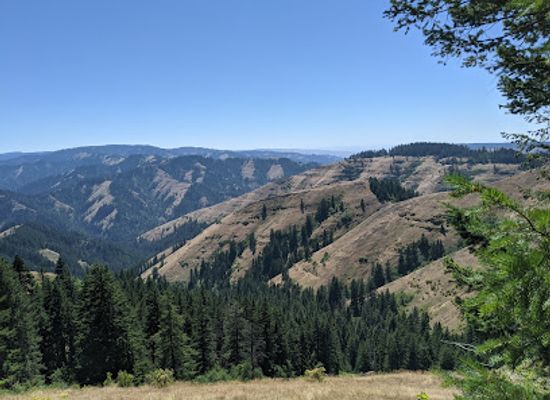 oregon/umatilla-county/attraction/umatilla-national-forest