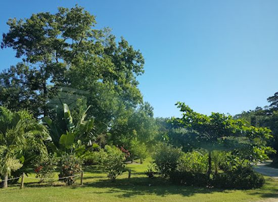 honduras/colon-region/attraction/the-blue-harbor-tropical-arboretum