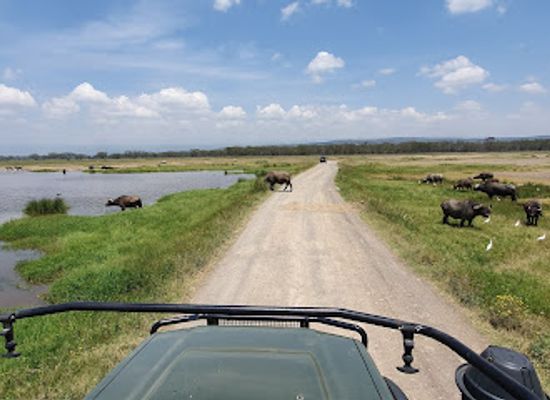 kenya/lake-nakuru-national-park/attraction/muya-causeway