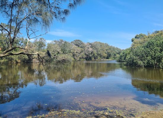 australia/high-country/attraction/currumbin-wildlife-sanctuary