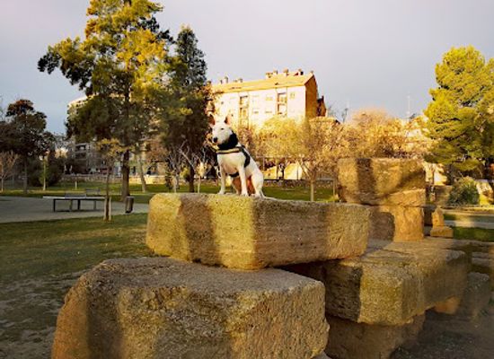 spain/aragon/attraction/parque-bruil