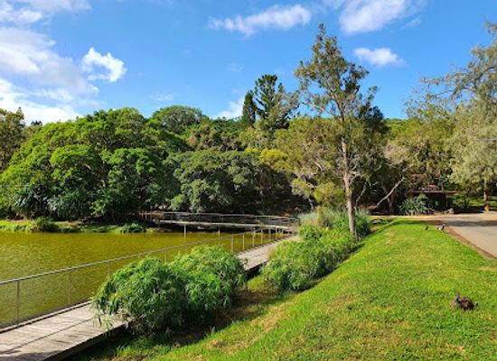 new-caledonia/canala/attraction/parc-zoologique-et-forestier-michel-corbasson