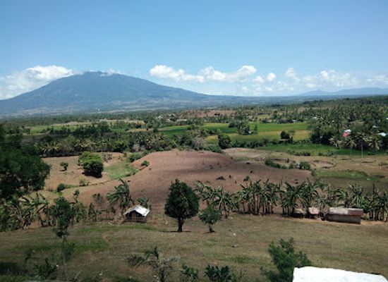 philippines/bicol-region/attraction/ocampo-deer-farm