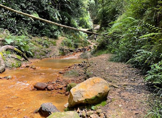 honduras/central-highlands/attraction/sendero-las-golondrinas
