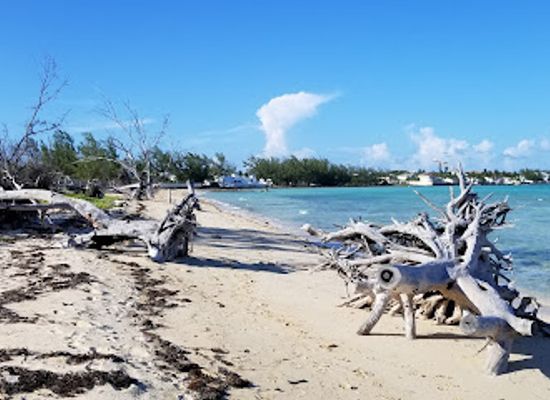 the-bahamas/andros-island/attraction/yamacraw-beach