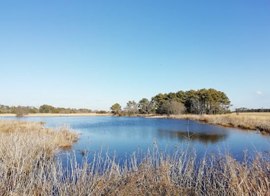virginia/eastern-shore/attraction/wallops-island-national-wildlife-refuge