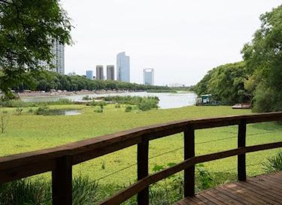 argentina/buenos-aires/attraction/reserva-ecologica-costanera-sur