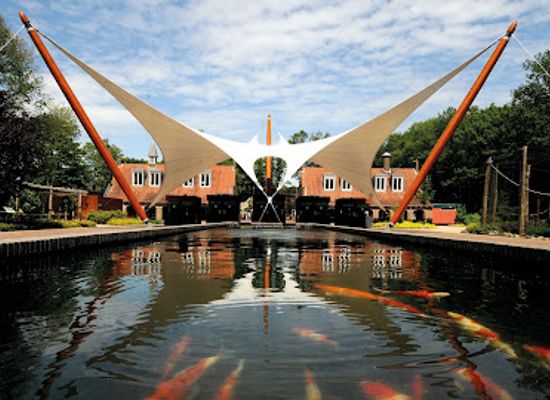 netherlands/betuwe/attraction/ouwehands-zoo