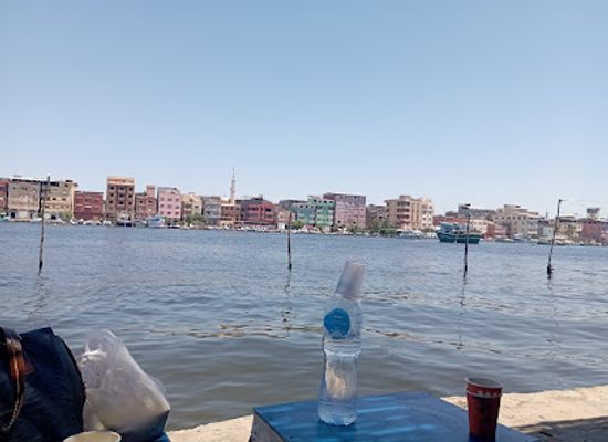 egypt/lower-egypt/attraction/azbat-al-burj-al-sheikh-dargham