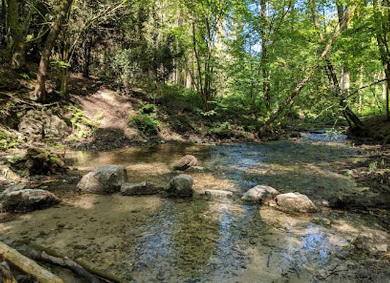 germany/teutoburg-forest/attraction/dorenschlucht