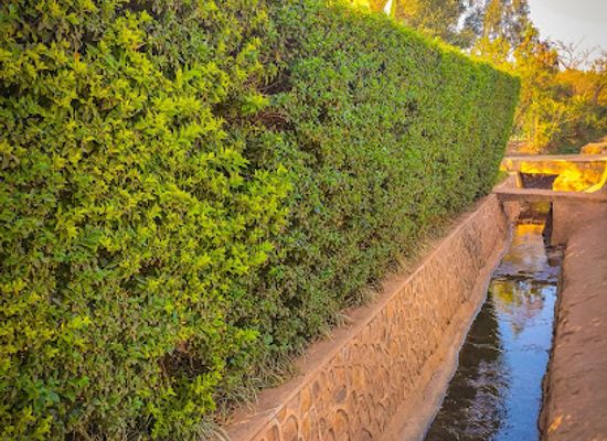 malawi/central-region/attraction/rible-gardens