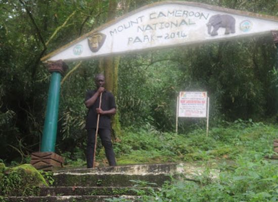 cameroon/north-west-region/attraction/mount-cameroon-national-park