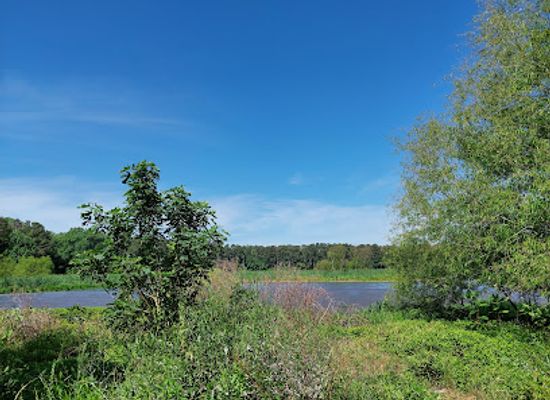 alabama/opelika/attraction/siddique-nature-park