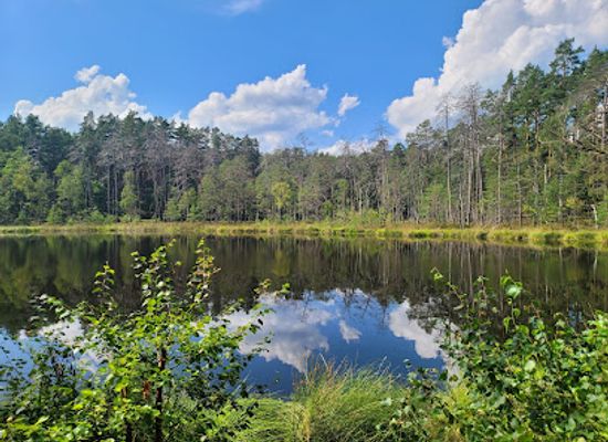 poland/bory-tucholskie/attraction/park-narodowy-bory-tucholskie