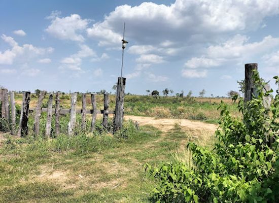 cambodia/preah-vihear-province/attraction/sophack-s-organic-farm
