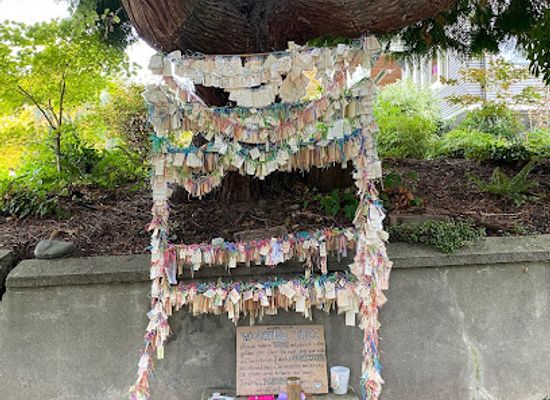 washington/seattle/attraction/capitol-hill-wishing-tree