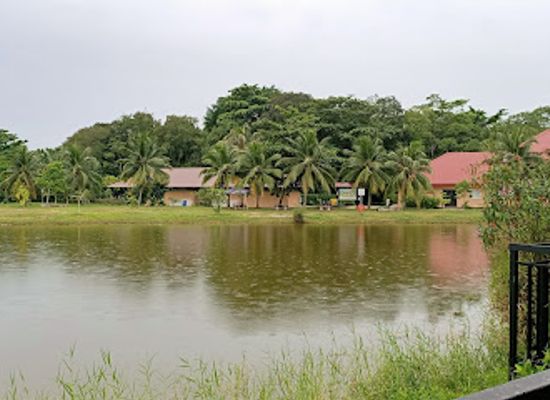 singapore/pulau-ubin/attraction/ubin-water-pond