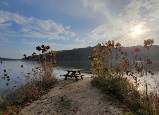 indiana/the-lakes-region/attraction/yellowwood-state-forest