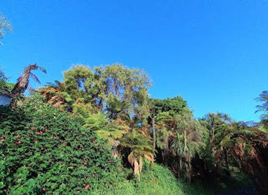new-zealand/hamilton/chartwell/attraction/mangaiti-gully