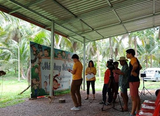 thailand/andaman-coast/attraction/suun-fuek-ling-khlong-noi