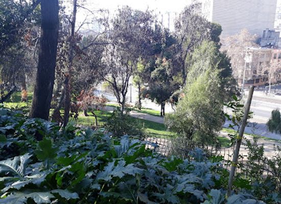 chile/metropolitan-region-of-santiago/attraction/parque-bustamante