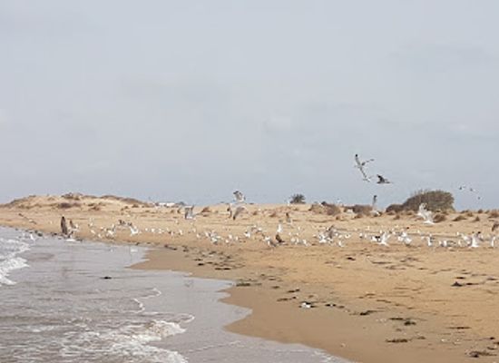 morocco/moulouya/attraction/le-village-du-lagon