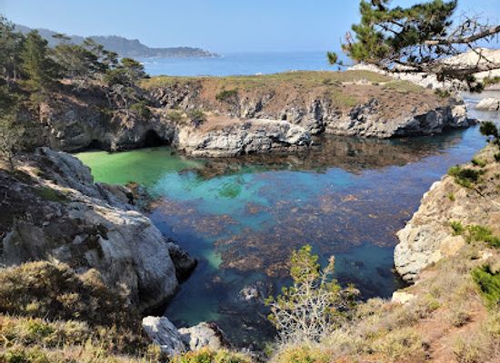 california/salinas-valley/attraction/palo-corona-regional-park